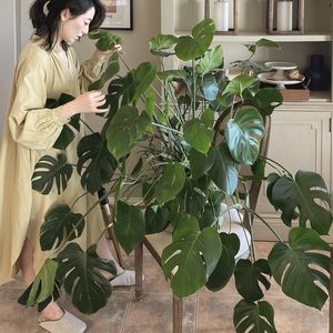 Meet your Posher, Yoojin